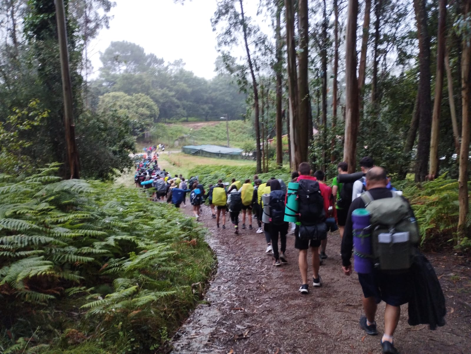 Camino de Santiago Pastoral Juvenil de la Diócesis de Osma-Soria del 5 al 12 de Julio 2024